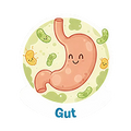 BETTER DIGESTION